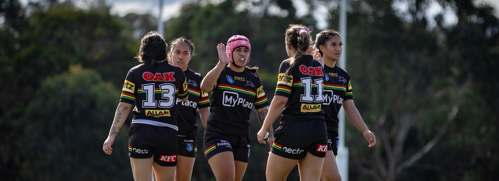 Gallant Panthers fall to ladder-leading Steelers