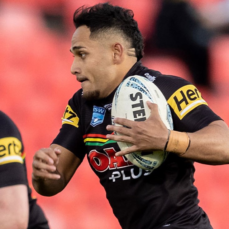 Panthers outclassed by Knights in Maitland