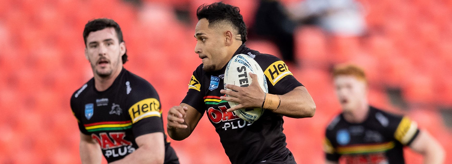 Panthers outclassed by Knights in Maitland