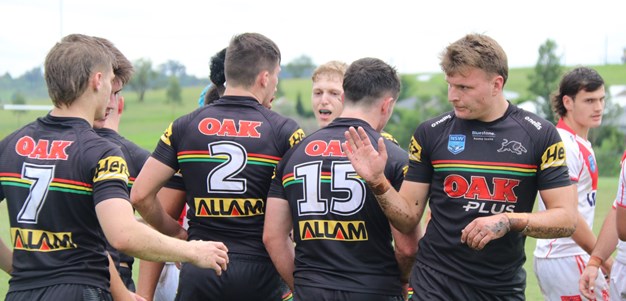 Panthers cruise to victory over the Dragons