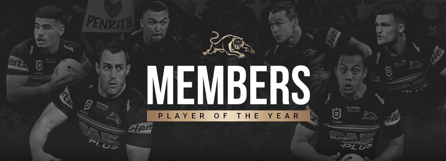 Vote for the 2022 Members Players of the Year