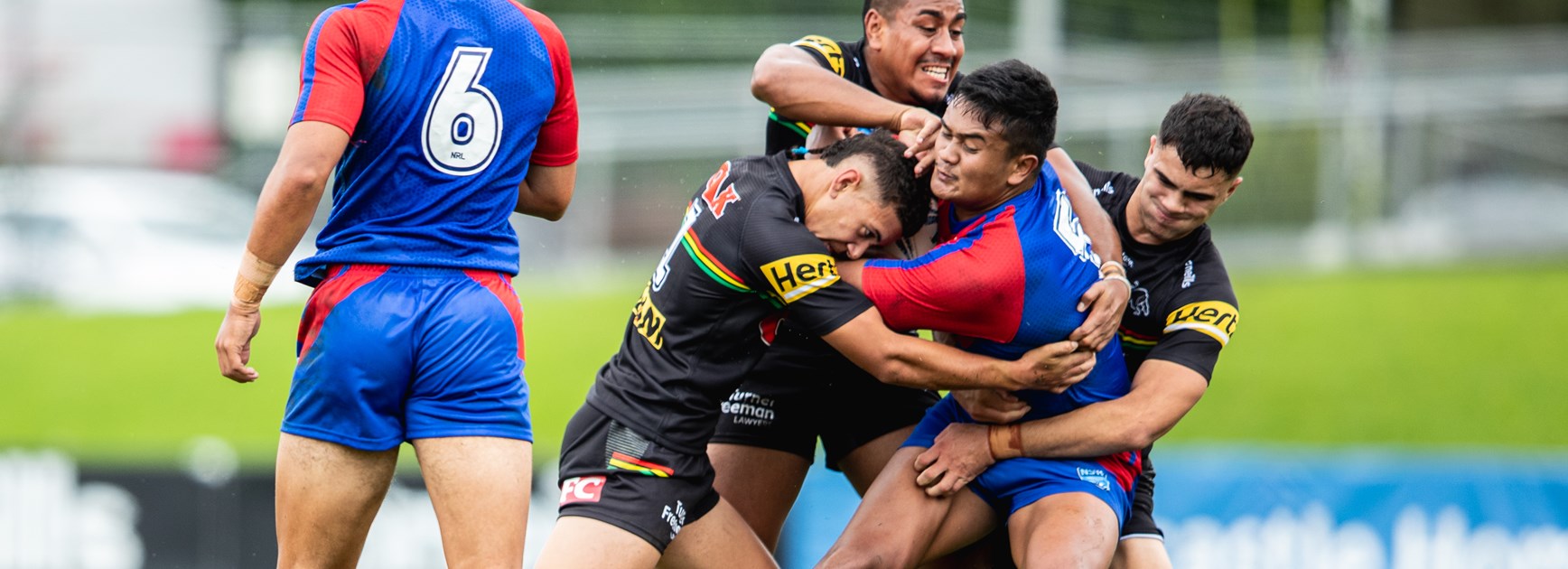Young Panthers unable to overcome the Knights in wet conditions
