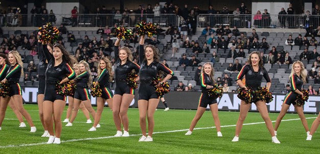 Pantherettes Management Opportunity for the 2026 NRL Season