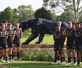 Panthers proudly represented across NSW City v Country Championships