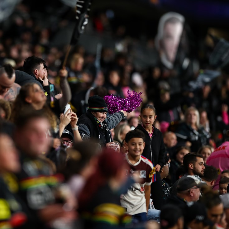 GALLERY: Panthers v Bulldogs