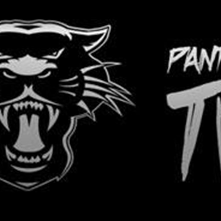Panther Power 500