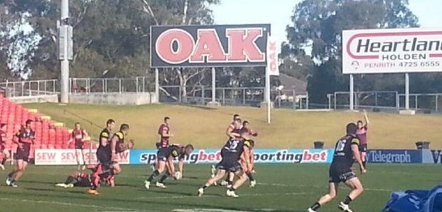 Panthers NSW Cup continue to dominate