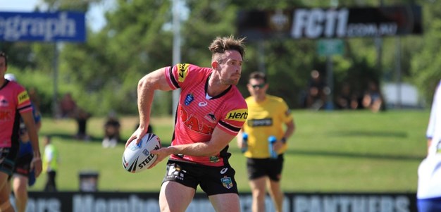 Cup Panthers demolish Dogs