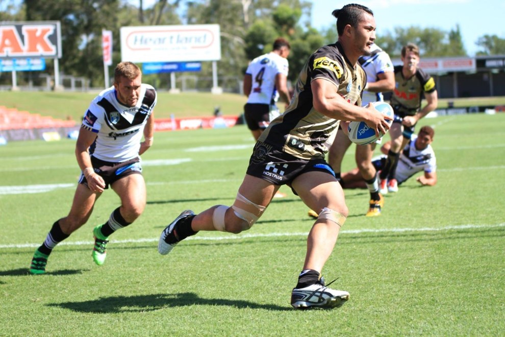 Penrith Panthers NSW Cup v Wenty, Pepper Stadium, 19th March. Photo by Jeff Lambert (Penrith Panthers)