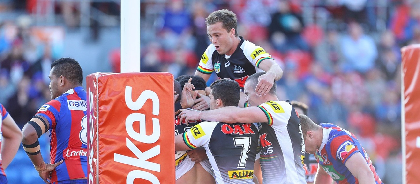 Gallery: Panthers v Knights
