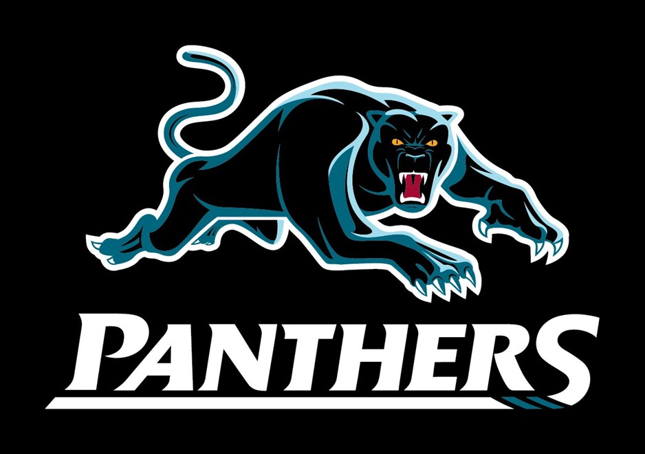Image result for penrith panthers logo