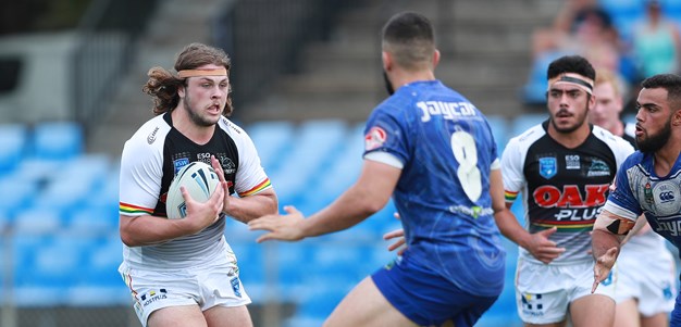 Panthers run down by the Dogs