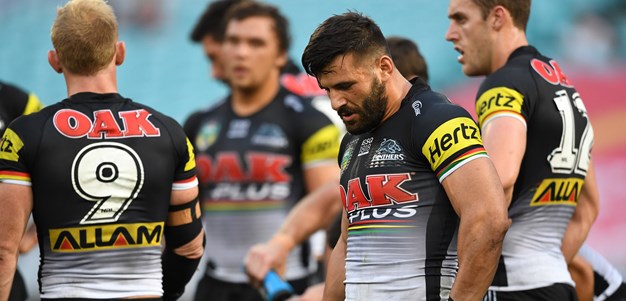 Panthers suffer defeat to Dogs