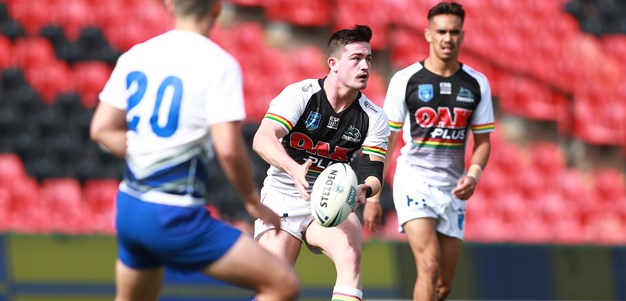 Panthers downed by Dogs