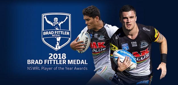 Panthers pair receive NSW awards
