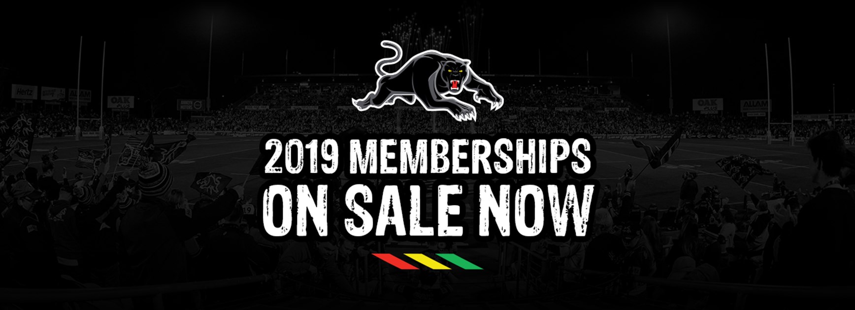 2019 Panthers memberships launched