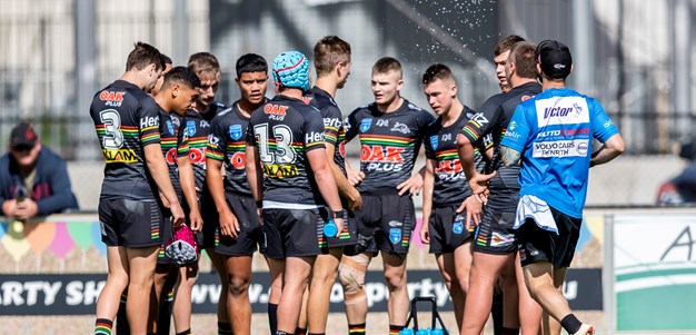 Young Panthers cut down by Knights