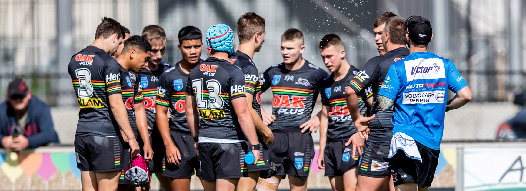Young Panthers cut down by Knights