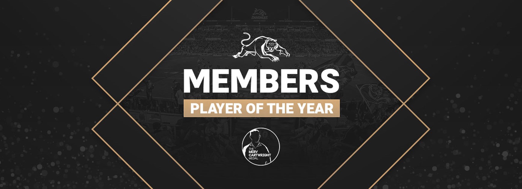 Voting open for Members Player of the Year