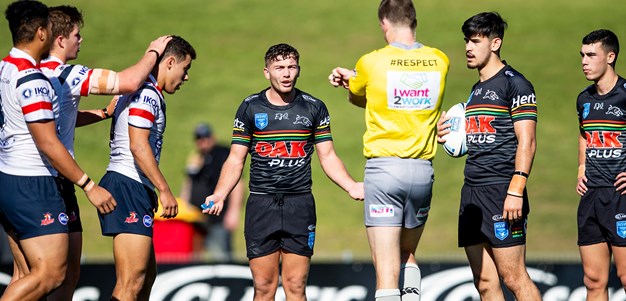 Young Panthers rolled by Roosters