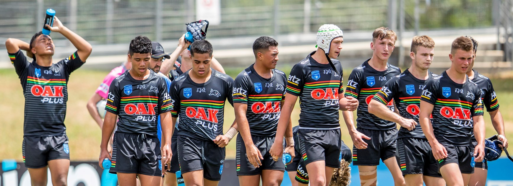 Shark attack kills off fast-starting Panthers