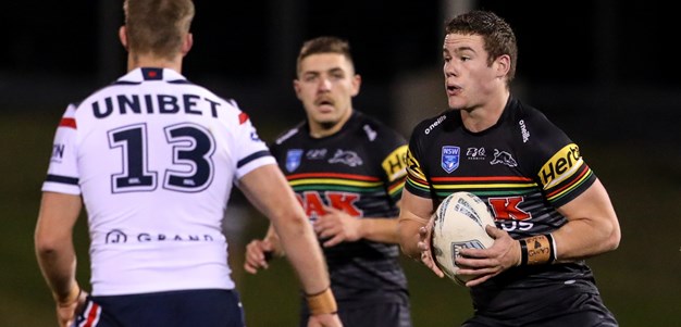 Young Panthers snatch draw with Roosters