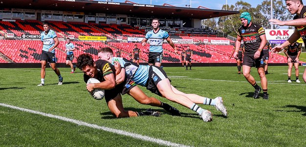 Young Panthers snatch late draw against Sharks