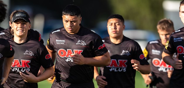 Details in focus as young Panthers return