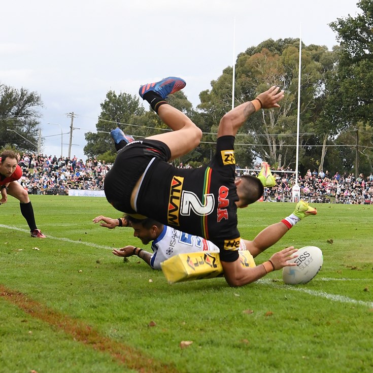 OAK Plus Gallery: Panthers v Knights